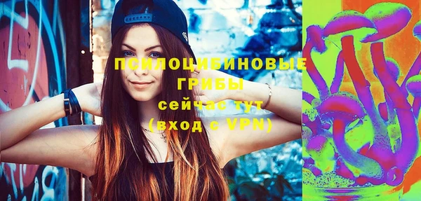 бошки Армянск