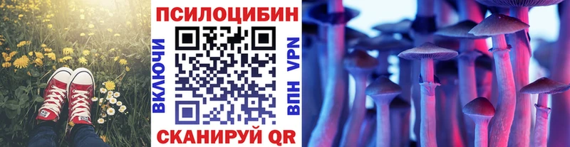 Галлюциногенные грибы MAGIC MUSHROOMS Макаров