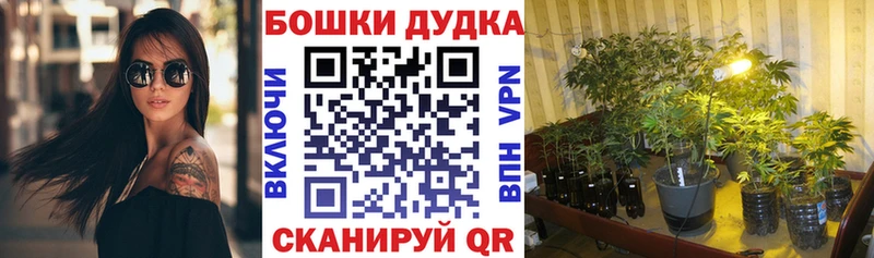 наркошоп  Макаров  МАРИХУАНА семена 